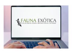 Por qué prefiero los foros
