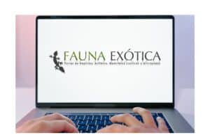Por qué prefiero los foros