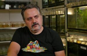 Rectilia, un apoyo incondicional