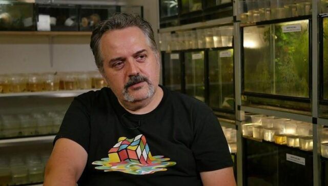 joseprectili