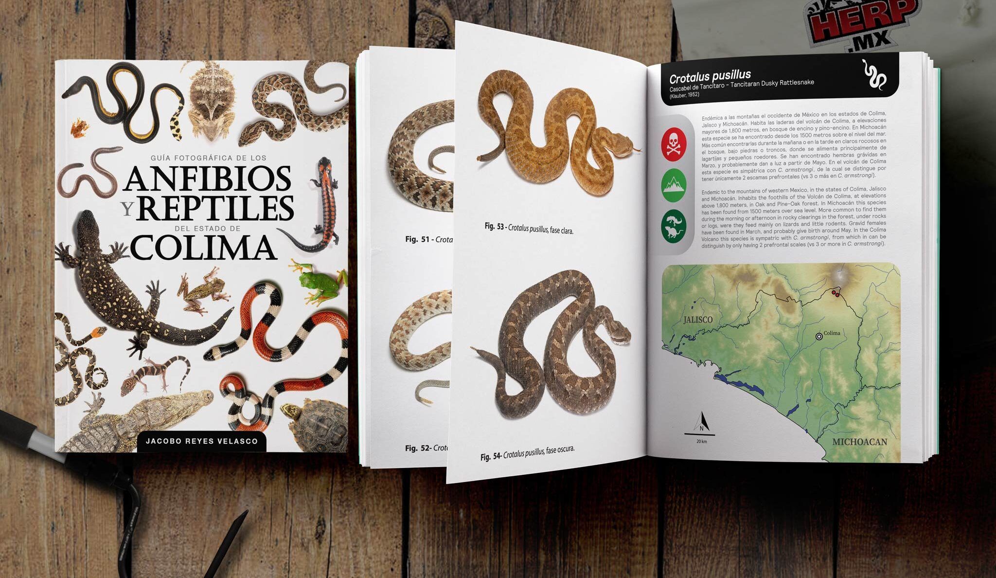 Anfibios y Reptiles de Colima, guía bilingüe de la herpetofauna del estado de Colima