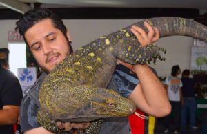 Kraken: Símbolo de la herpetocultura mexicana