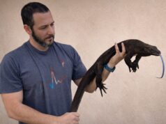 Tras los muros de Nublar: David Calleja