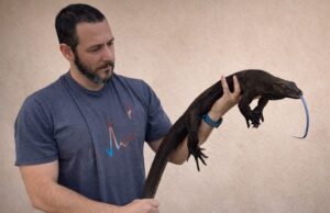 Tras los muros de Nublar: David Calleja