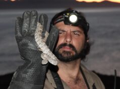 Tras la mirada del naturalista Rene Villanueva Maldonado