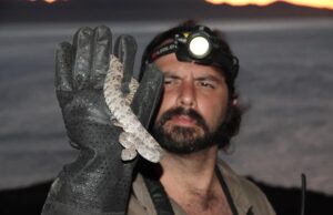 Tras la mirada del naturalista Rene Villanueva Maldonado