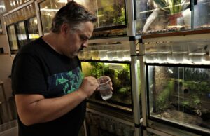 Josep Canela: siguiendo el rastro de las ranas flecha