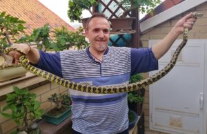 Julián Arnáez: una vida marcada por la terrariofilia