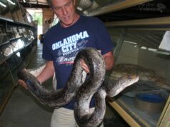 Bob Clark, leyenda de la herpetocultura mundial