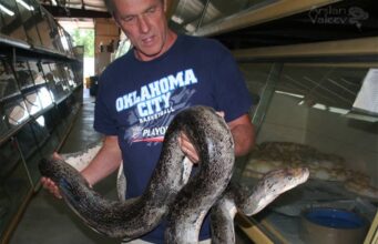 Bob Clark, leyenda de la herpetocultura mundial