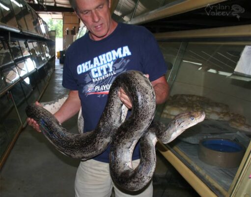 Bob Clark, leyenda de la herpetocultura mundial