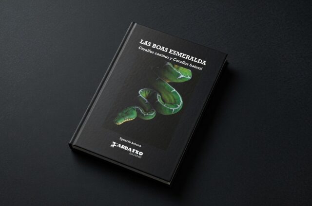 Ignacio Solano, Boas esmeralda, libro